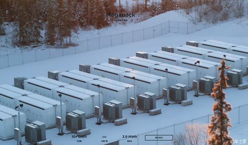 特斯拉上海新超級工廠項目正式啟動 引領新能源汽車產(chǎn)業(yè)新篇章